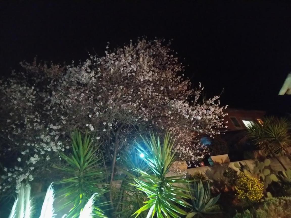 Locaspera Apartamento Spéracèdes Exterior foto